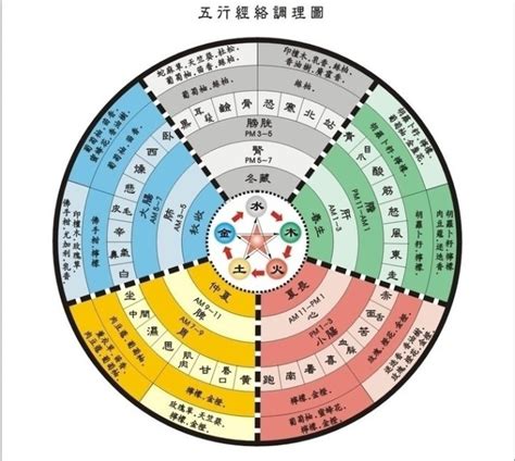 五術入門|五术